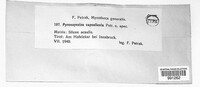 Thumbnail image of current specimen